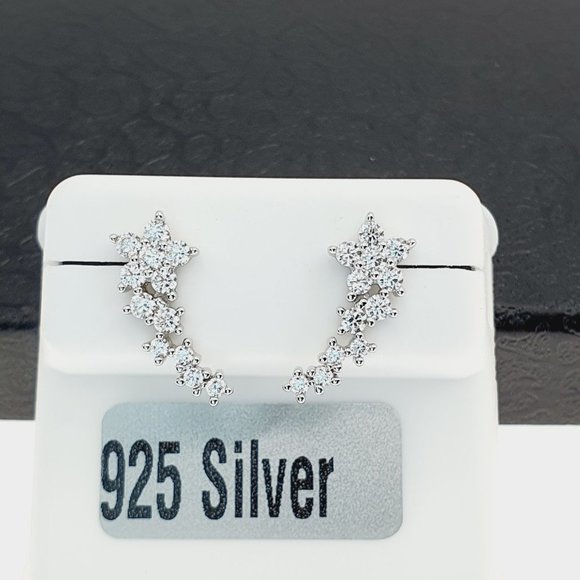 925 sterling silver luxury CZ earrings for women/girls, Best for RJUS2231 - Picture 7 of 10